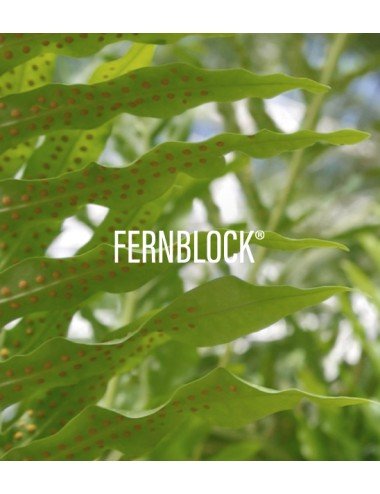 HELIOCARE ADVANCED SPRAY SPF 50+ 200 ML